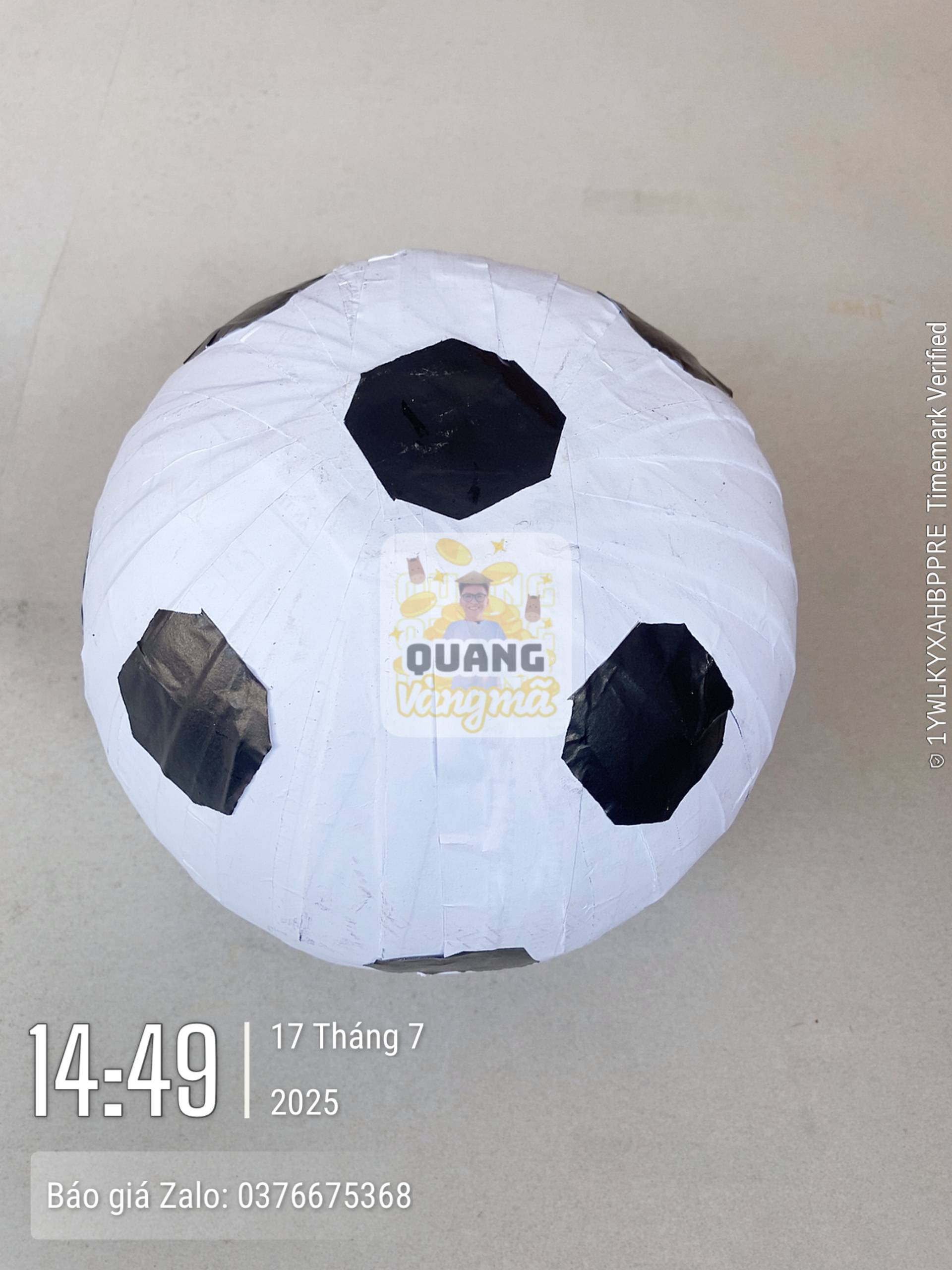 Quả bóng đá