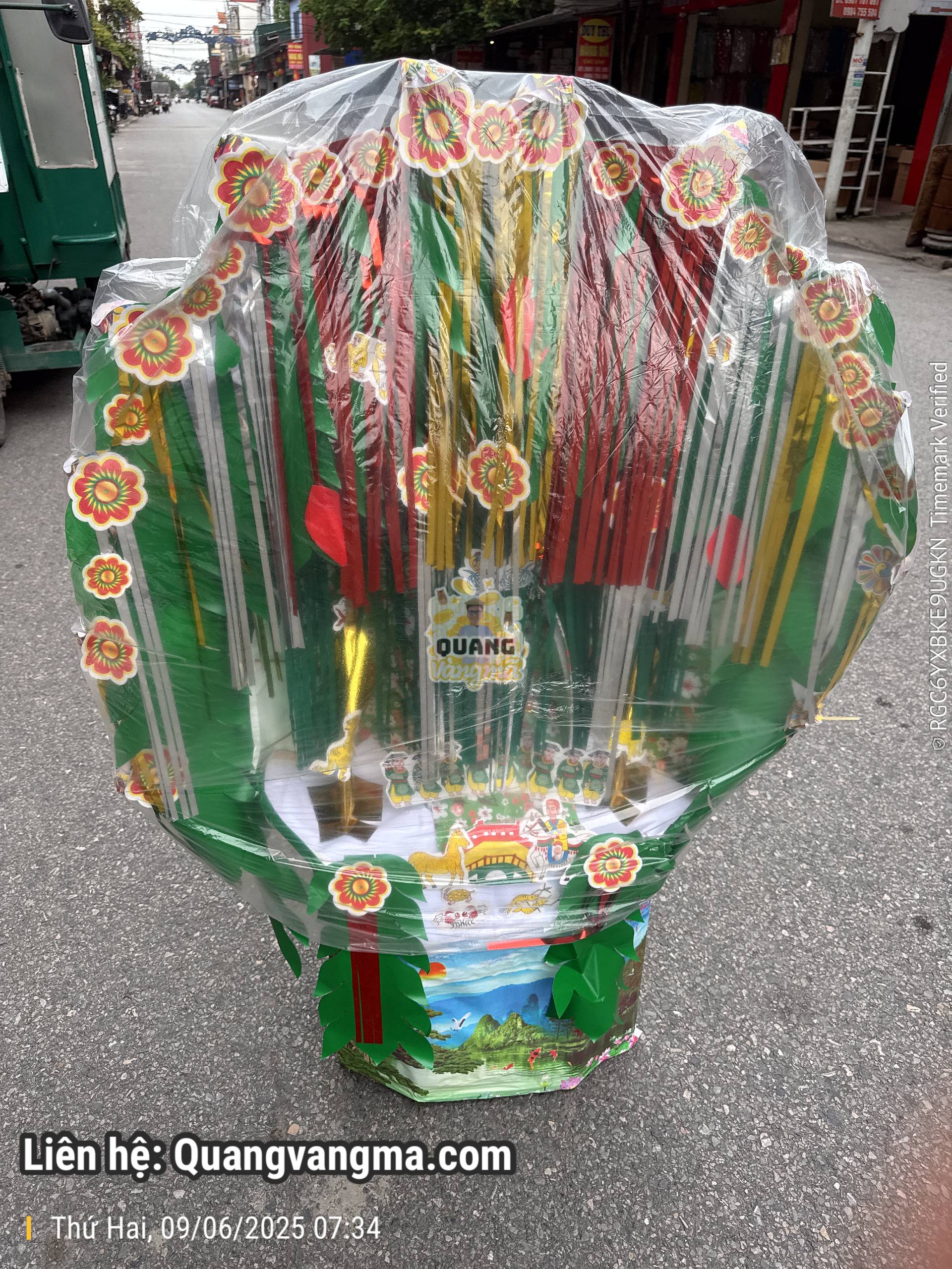 Rừng rẻ qvmn50