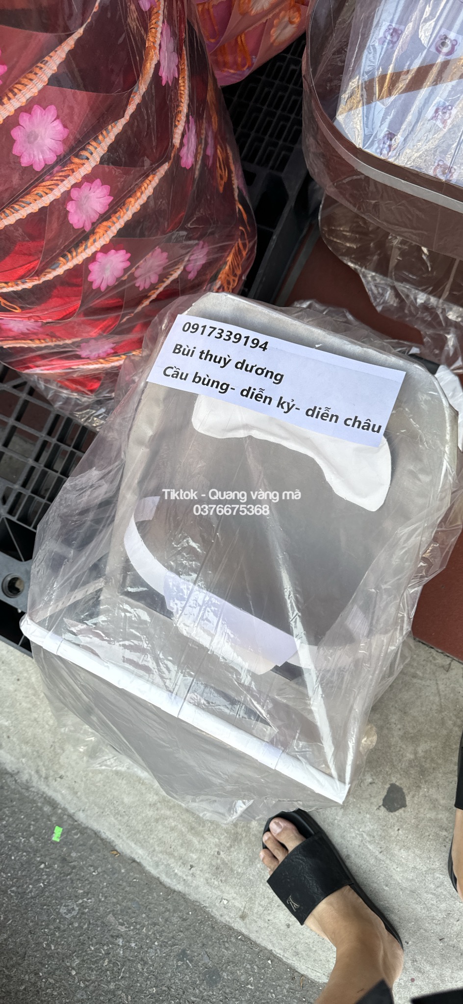 XE ĐẨY EM BÉ SHIP