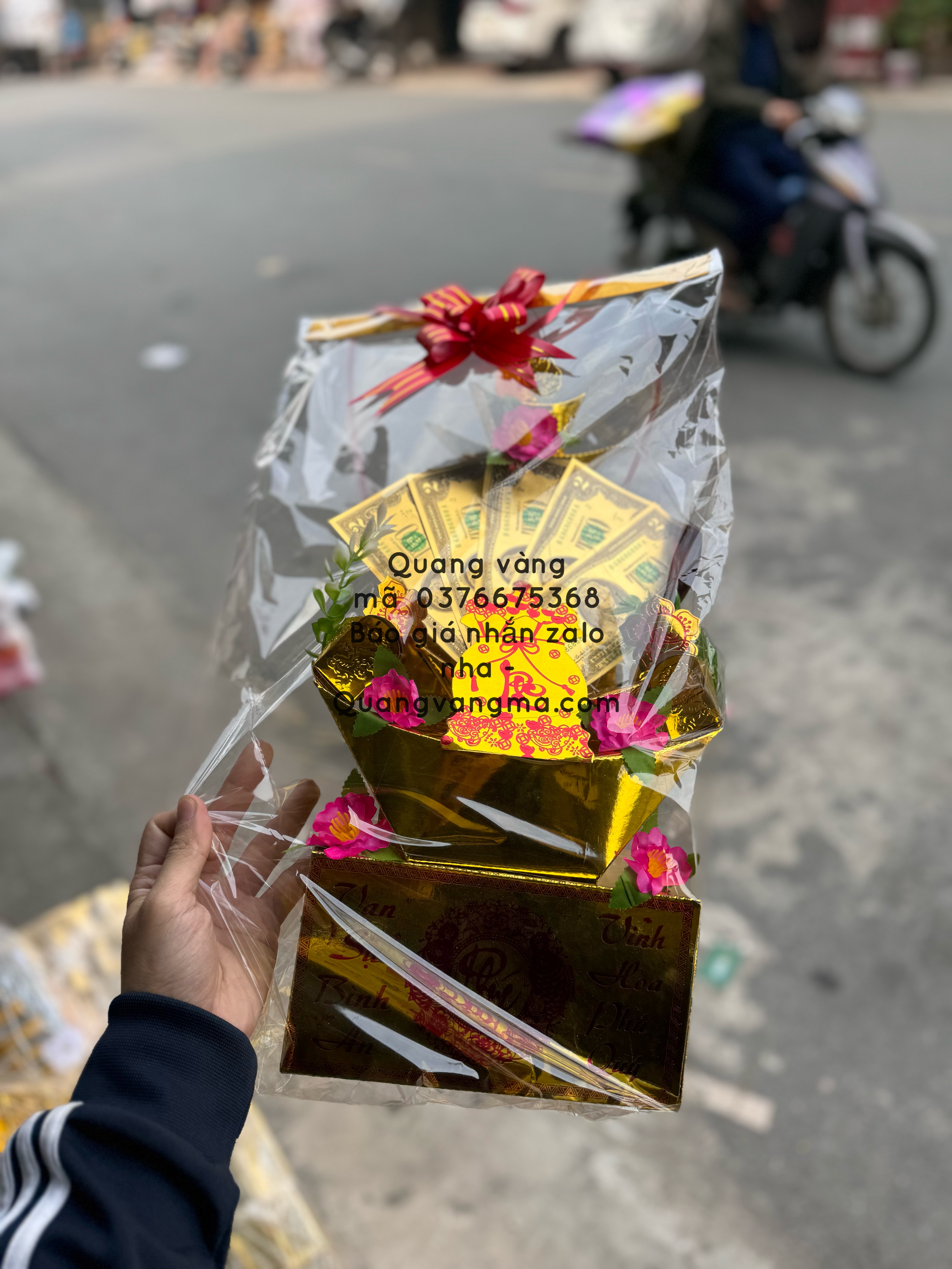 cây tiền vàng bán vụ tết