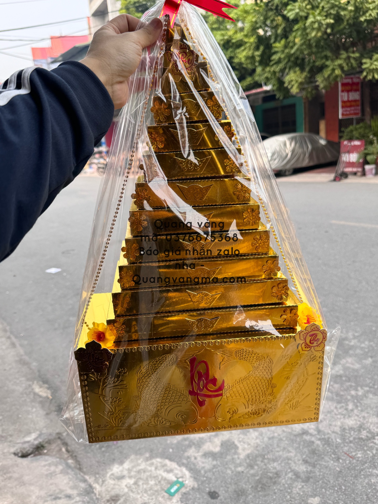 cây tiền vàng bán vụ tết