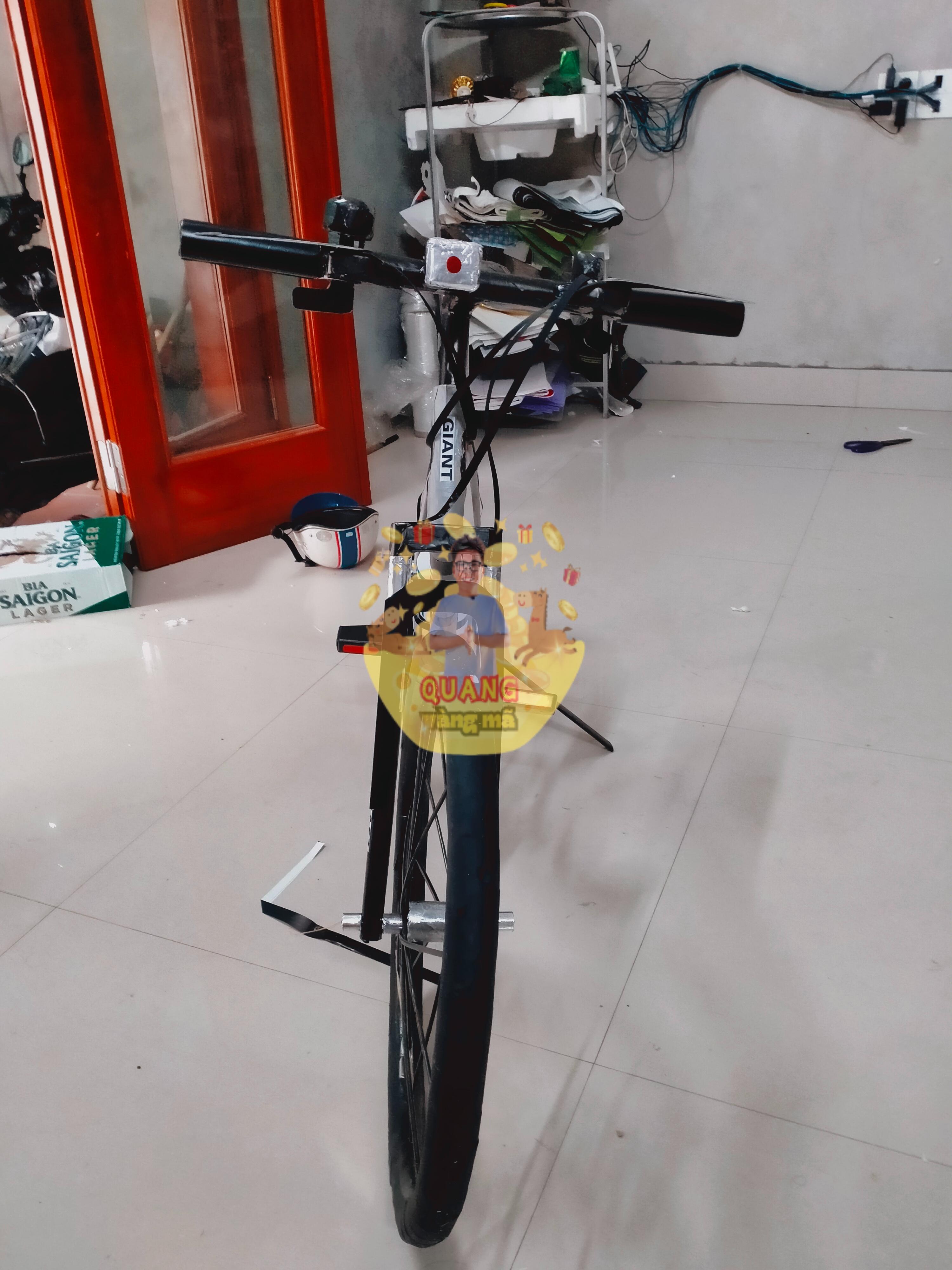 xe đạp thể thao gain xám