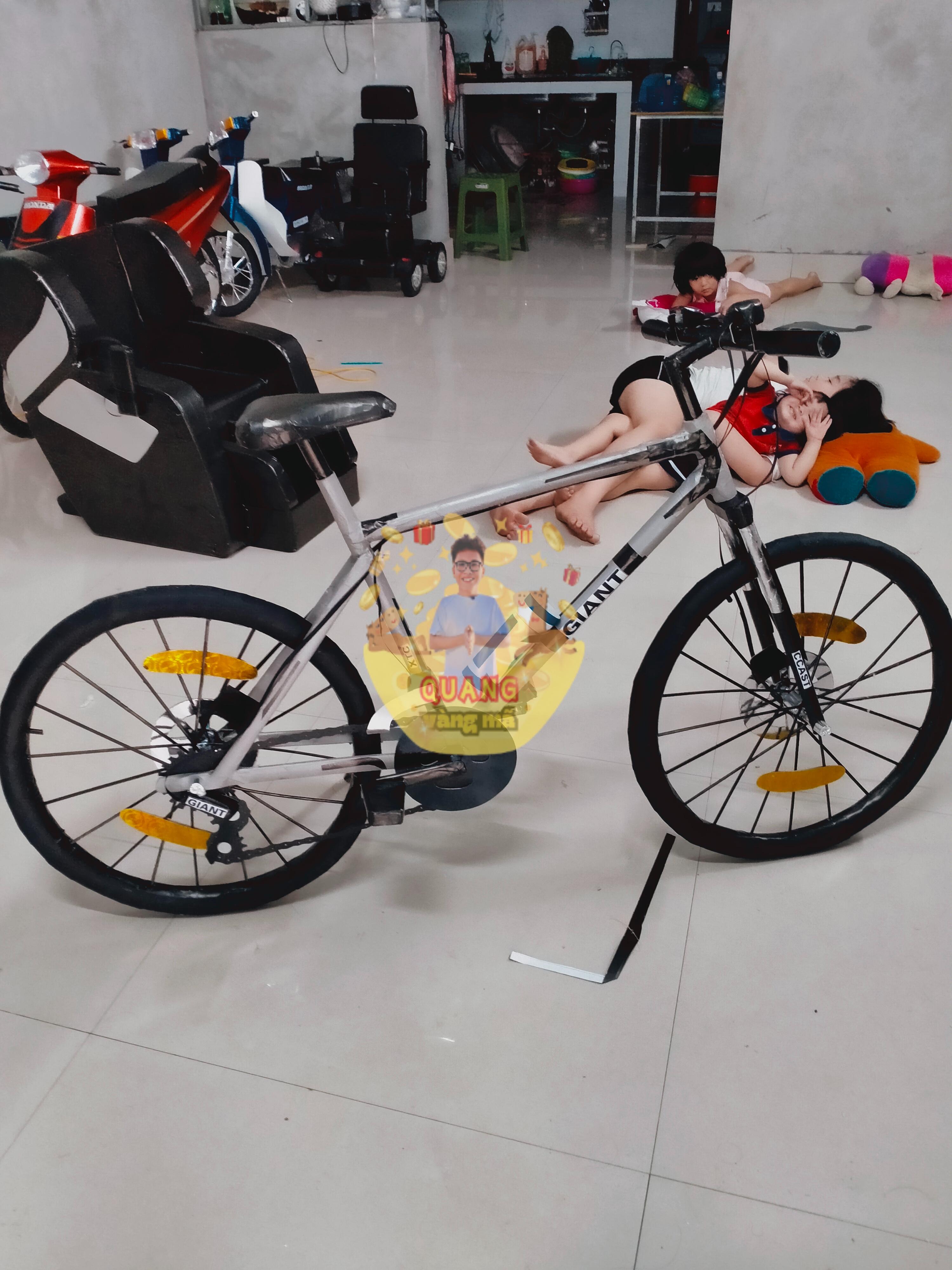 xe đạp thể thao gain xám