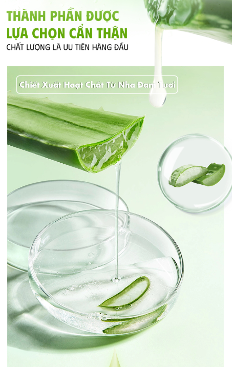 Gel-Lo-Hoi-Da-Nang-Giai-Phap-Cap-Am-Cho-Moi-Loai-Da.png