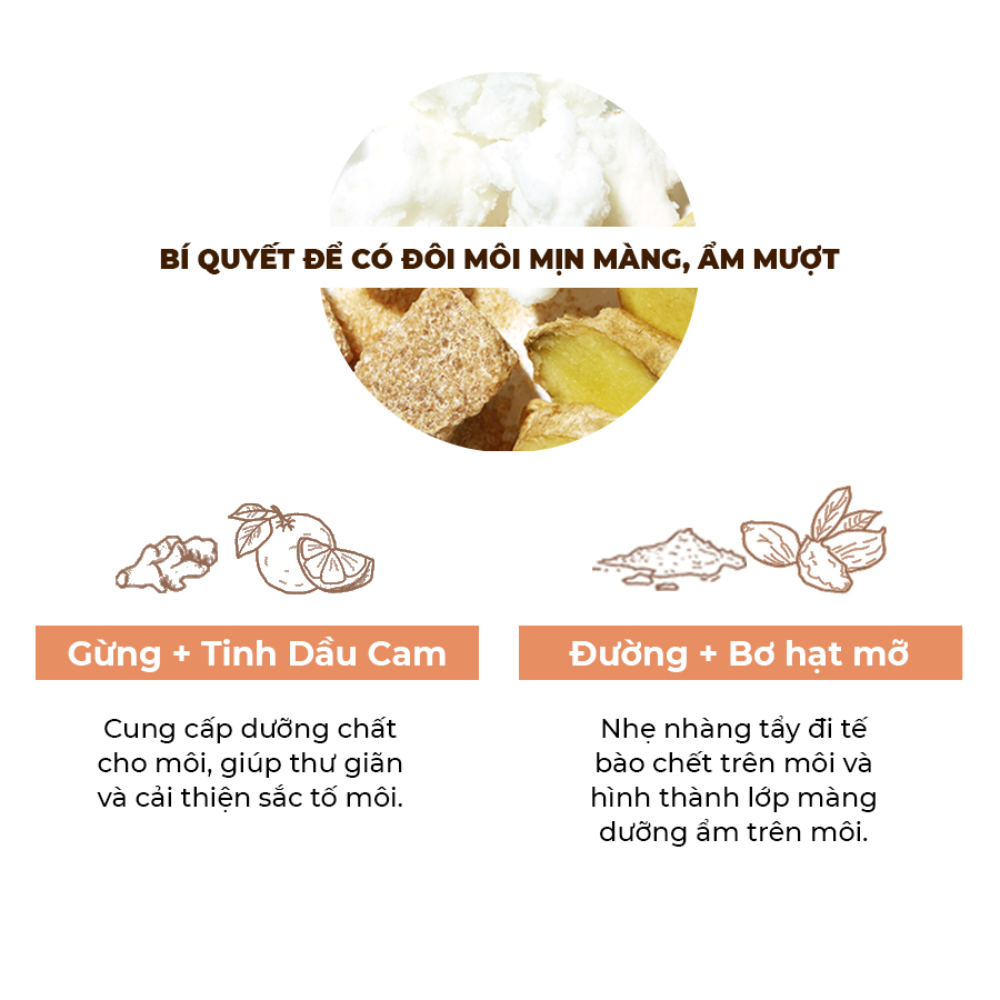 Dưỡng Môi ETUDE Ginger Sugar Essential Lip Balm