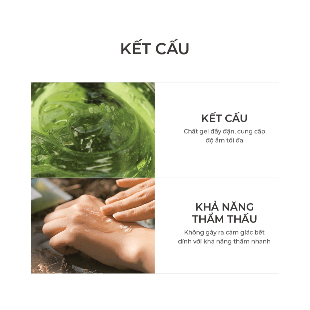 Gel Dưỡng Ngải Cứu Graymelin Mugwort Calming Gel 100ml Dịu Nhẹ Cho Da Dầu Mụn Nhạy Cảm