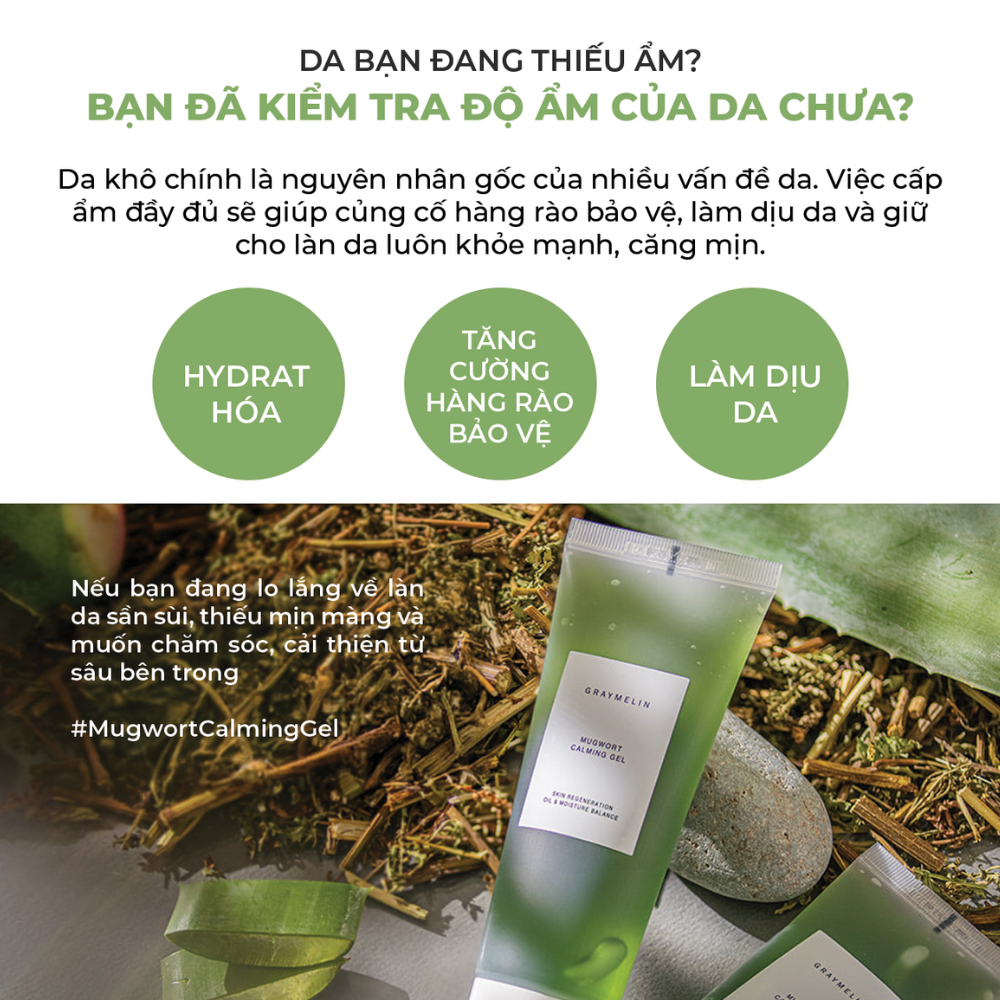 Gel Dưỡng Ngải Cứu Graymelin Mugwort Calming Gel 100ml Dịu Nhẹ Cho Da Dầu Mụn Nhạy Cảm