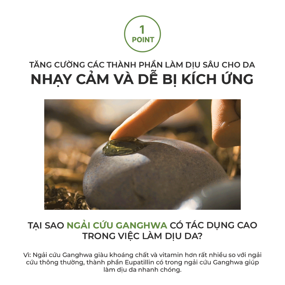 Gel Dưỡng Ngải Cứu Graymelin Mugwort Calming Gel 100ml Dịu Nhẹ Cho Da Dầu Mụn Nhạy Cảm