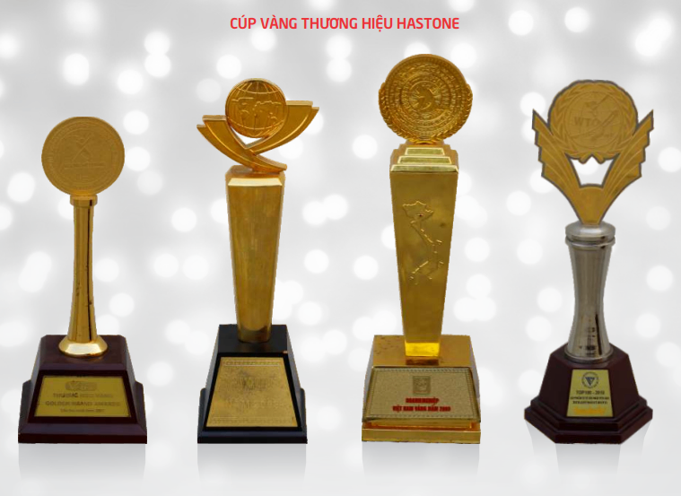 Hastone and Vietnam Industry Gold Certification Award