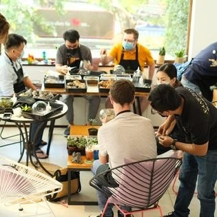 Workshop Terrariums nhiều người tham gia