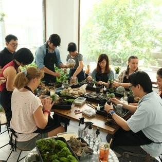 Workshop Terrariums gắn kết thiên nhiên