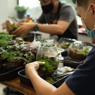 Mọi người chăm chú thiết kế tại Workshop Terrariums