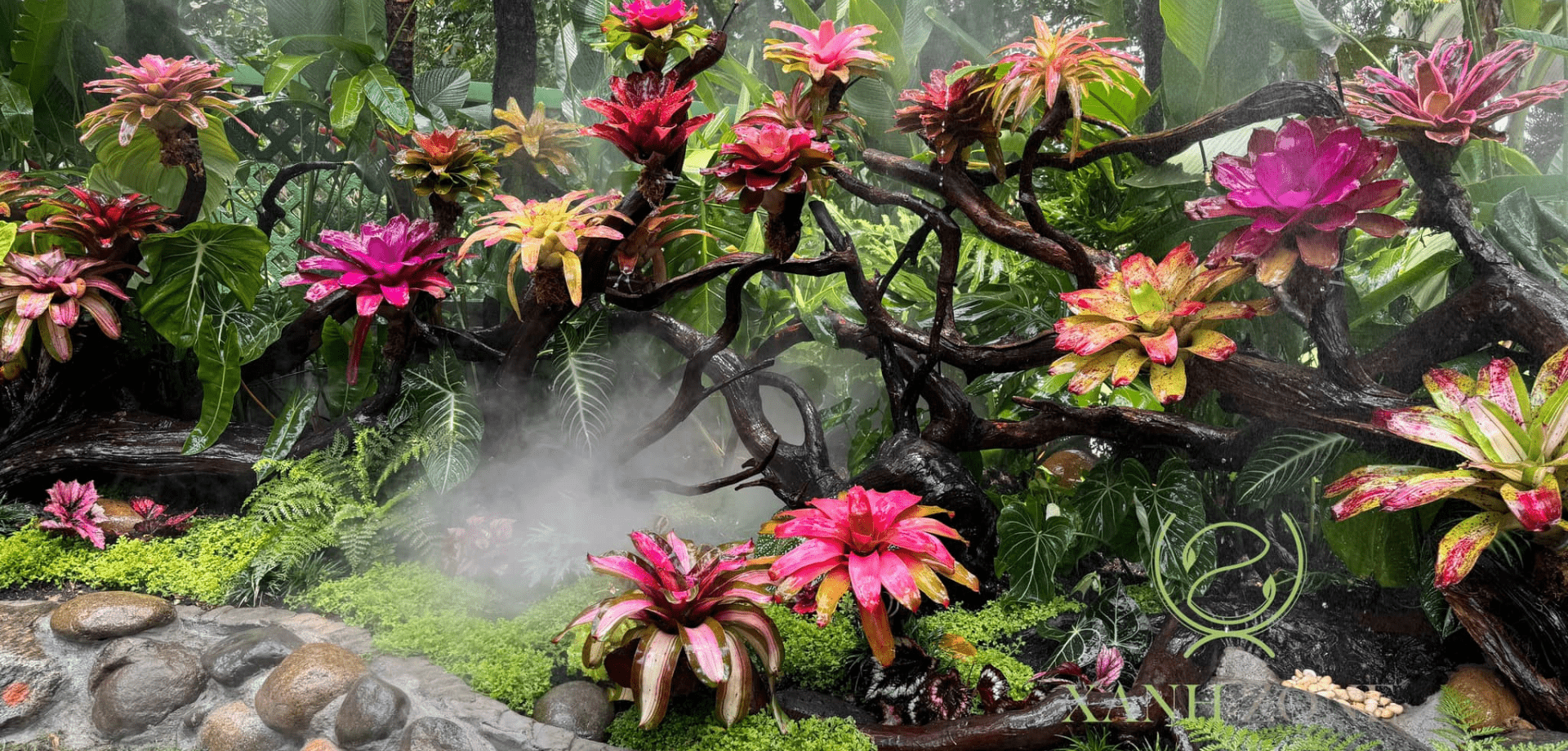 TROPICAL FOREST - VƯỜN NHIỆT ĐỚI