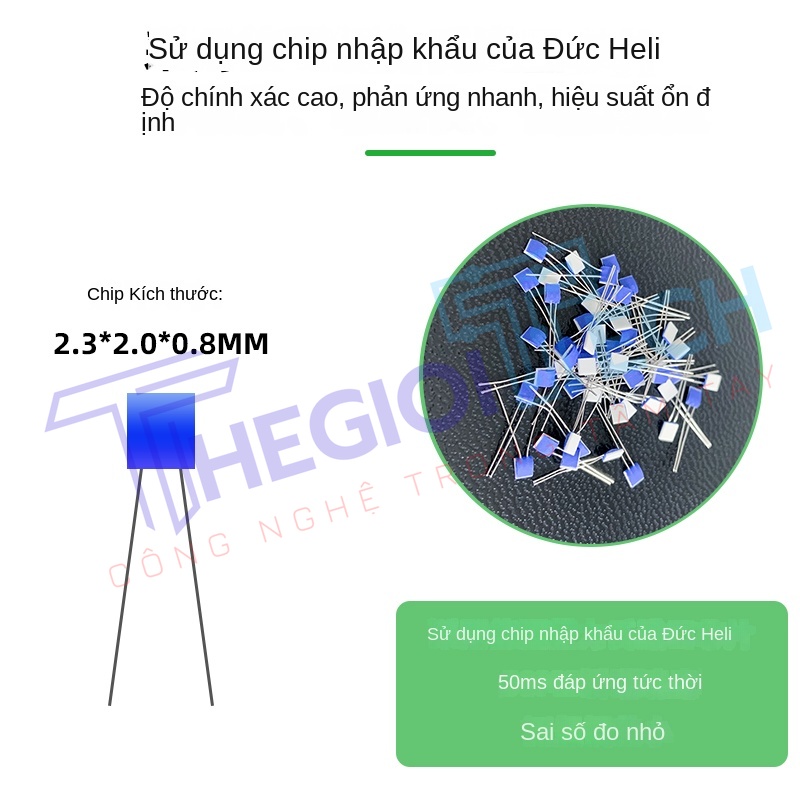 Cảm biến nhiệt độ PT100/PT1000, 2 dây/3 dây, đầu dò điện trở bạch kim, ren 4分 cố định - 4分 φ5×150 1.5m