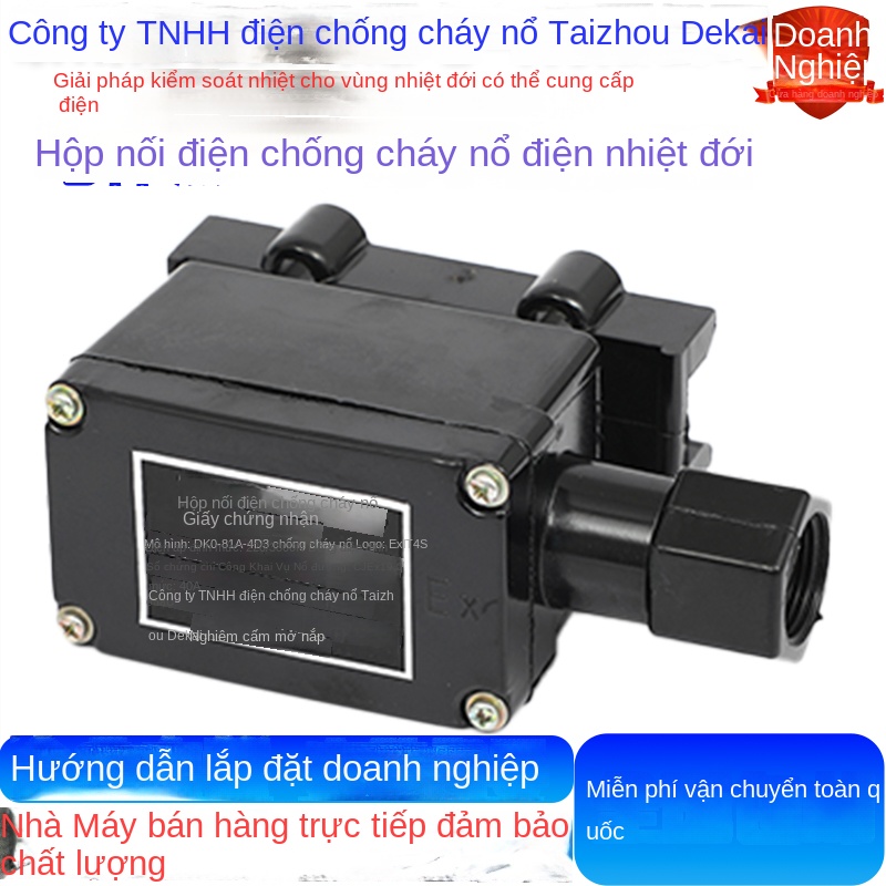 Hộp nối nguồn chống nổ cho dây sưởi điện DKJXH81-40D/3 – Dòng 220V/380V, thương hiệu Dekai - Dekai DMC – Hộp nối nguồn chống nổ cho dây cáp sưởi (dây điện trở nhiệt)