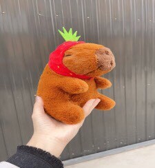 GN Capybara Mũ Dâu