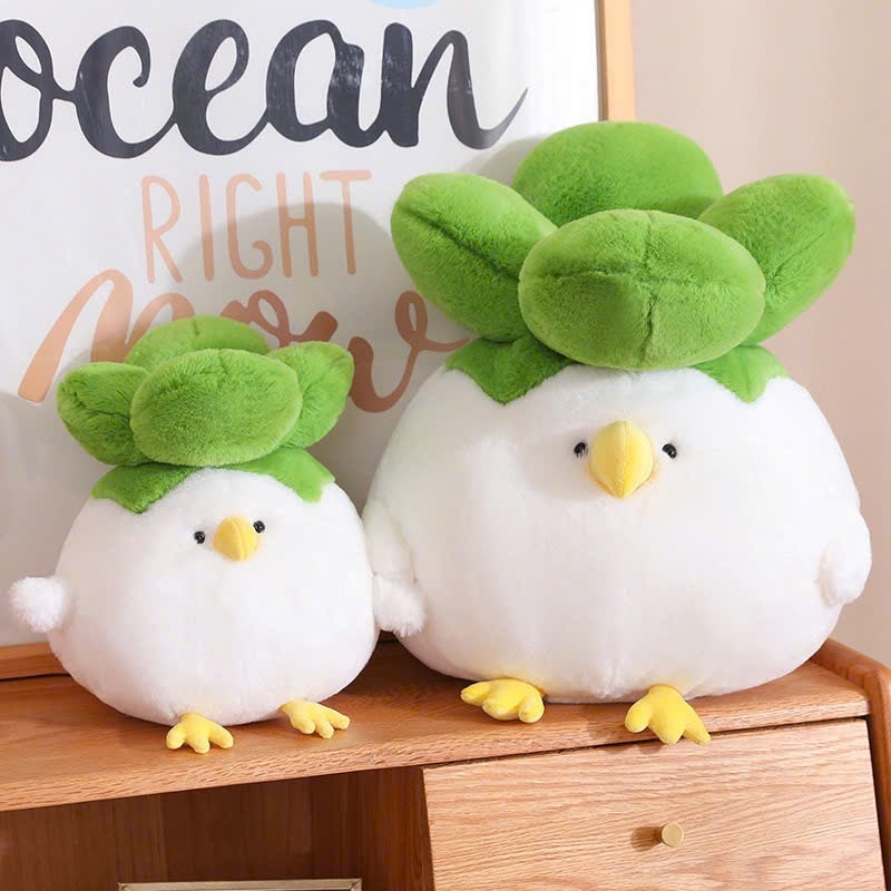 Gà Múp Cải Bắp