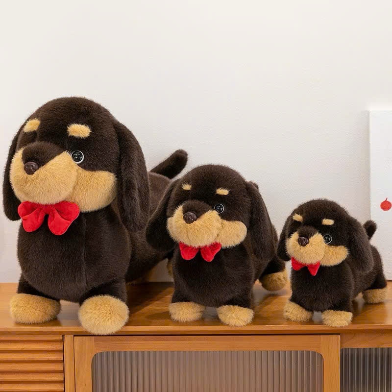 Chó Dachshund Lạp Xưởng