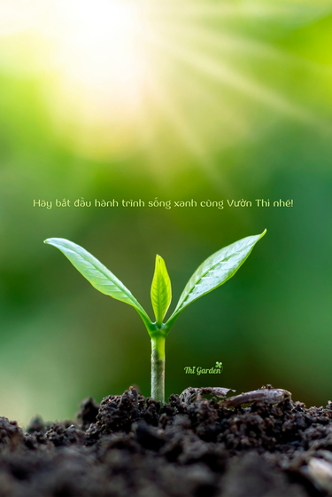 Banner trang chủ