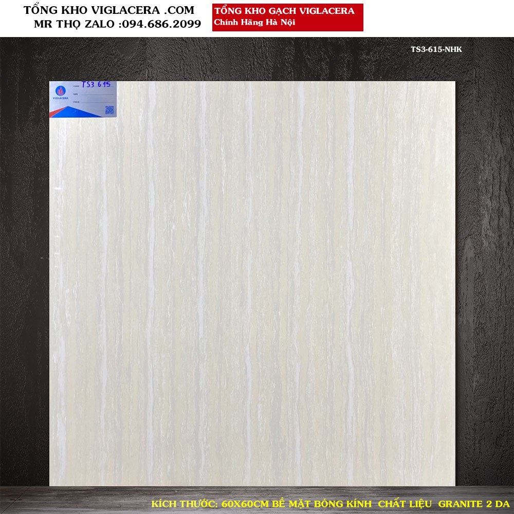 Gạch lát nền Granite Viglacera Tiên Sơn 60x60 TS3-615 A1