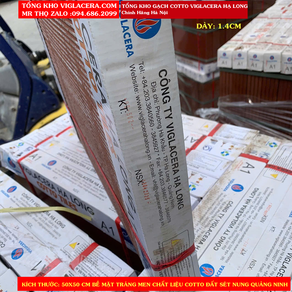 Gach-do-Trang-Men-50x50-Viglacera-Ha-Long-A1_bao bì vỏ hộp gạch cotto viglacera hạ long tráng men.jpg