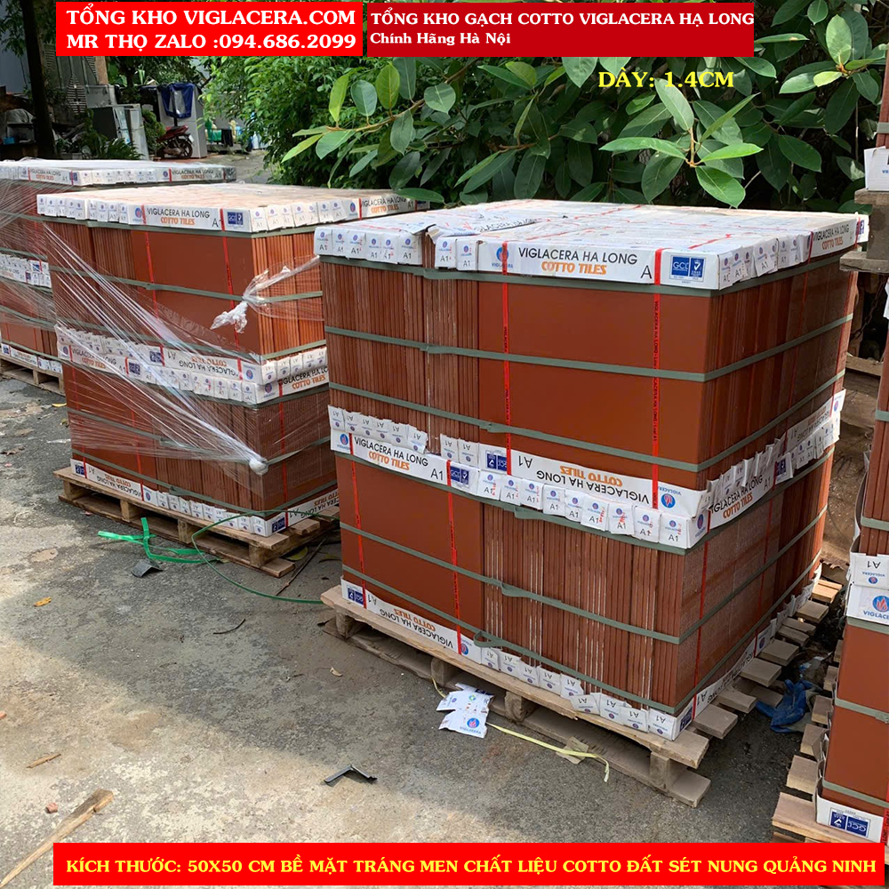 Gach-do-Trang-Men-50x50-Viglacera-Ha-Long-A1_lô hàng gạch đỏ tráng men viglacera hạ long 50x50.jpg