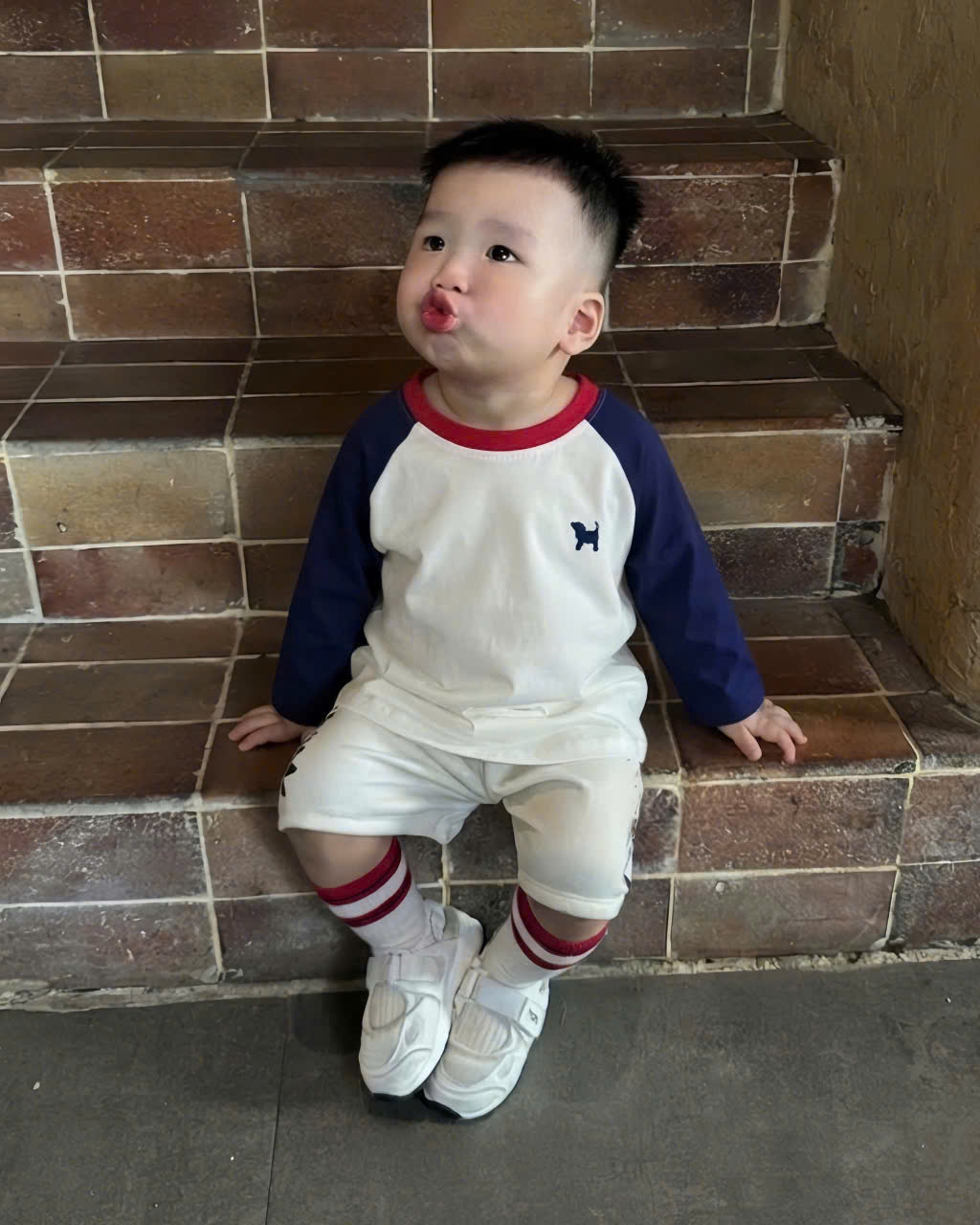 AB935 - SET 4 ÁO BÉ TRAI DÀI TAY PHỐI THÊU CHÓ