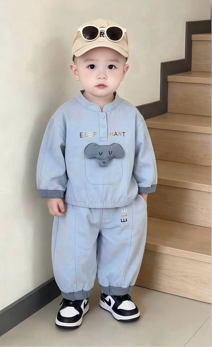 T421 - BỘ NỈ BÉ TRAI VOI XANH ELEPHANT CỔ CÚC