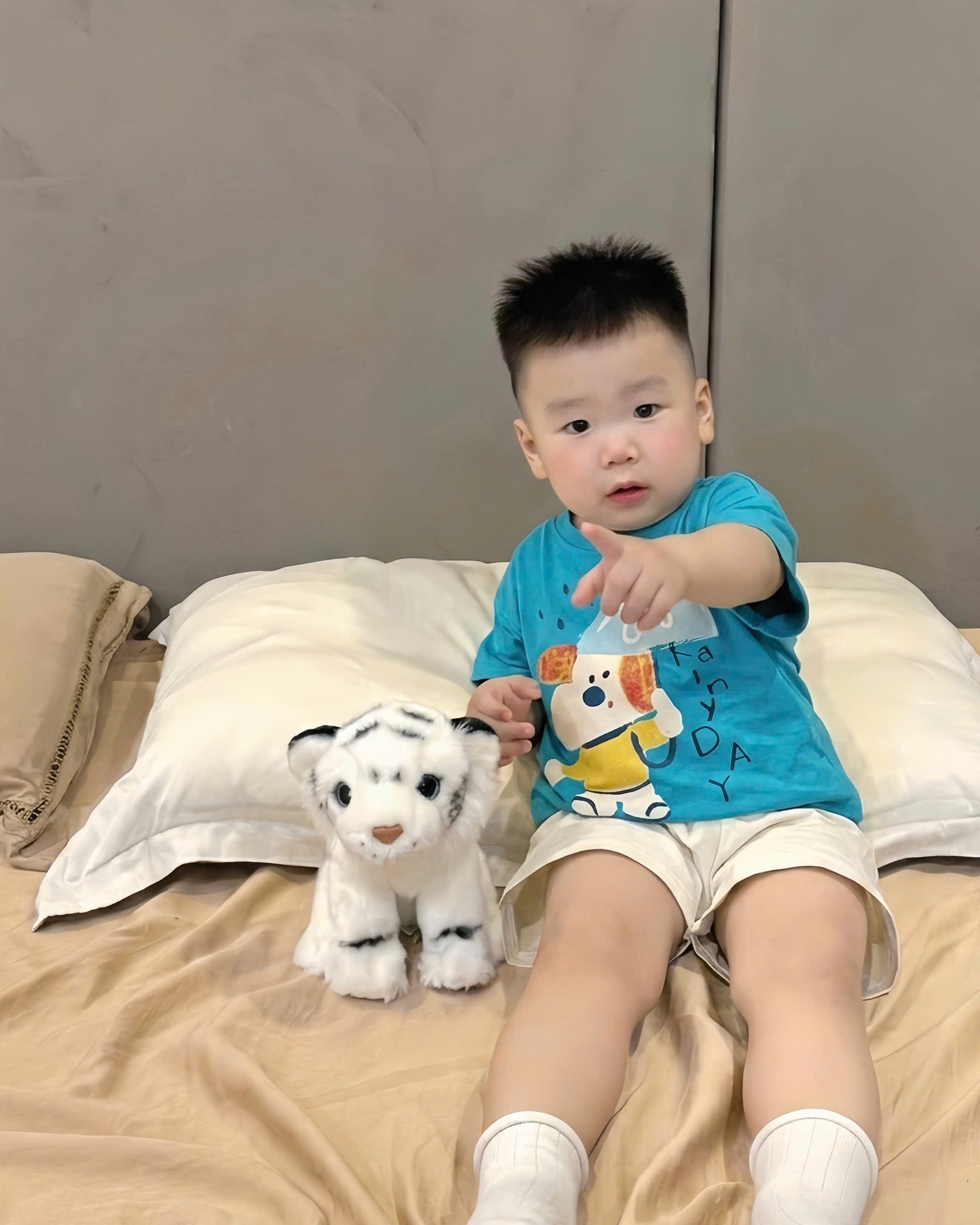 AB897 - SET 2 ÁO BÉ TRAI CỘC CHÓ CHE Ô xanh trắng