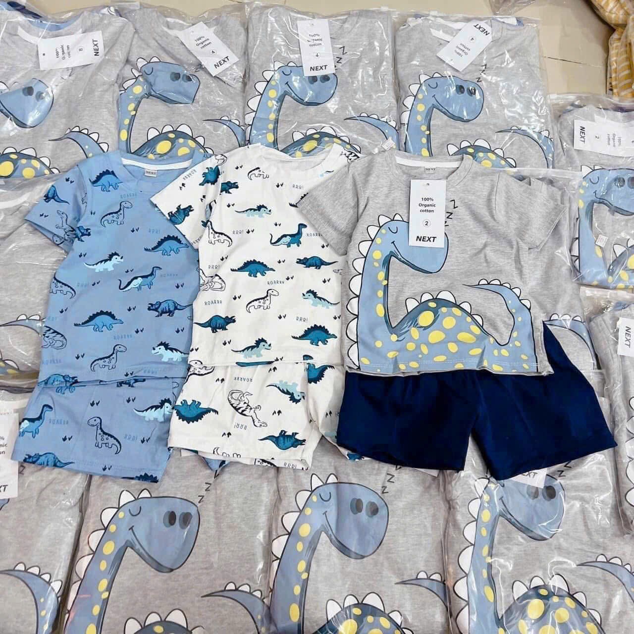 T216 - SET 3 BỘ ĐÙI BÉ TRAI KHỦNG LONG xanh ghi trắng