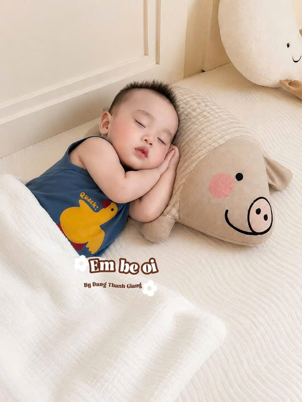PK301 - SET GỐI + RUỘT HÌNH LỢN