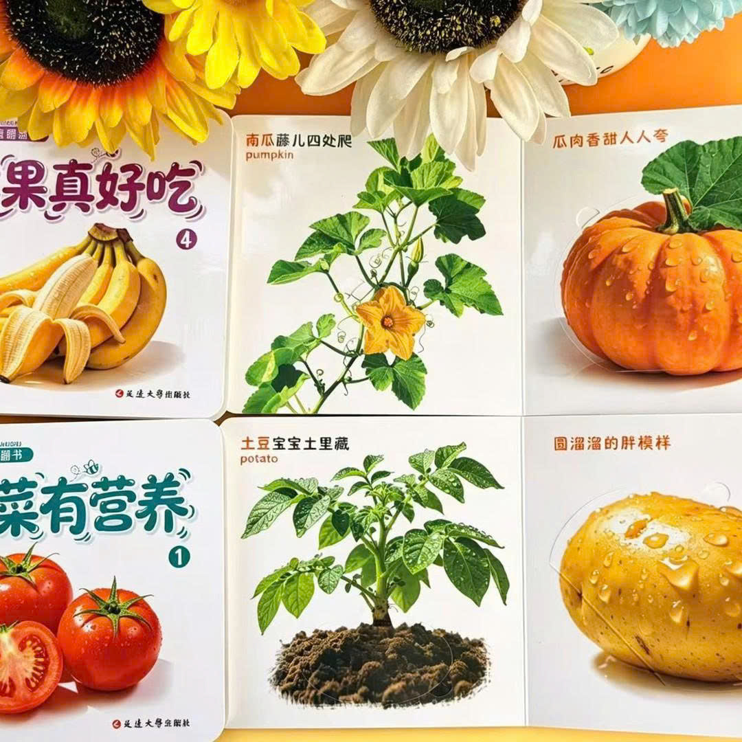 (chờ) PK361 - SET 10 QUYỂN TRANH 3D HÌNH NỔI THỰC PHẨM