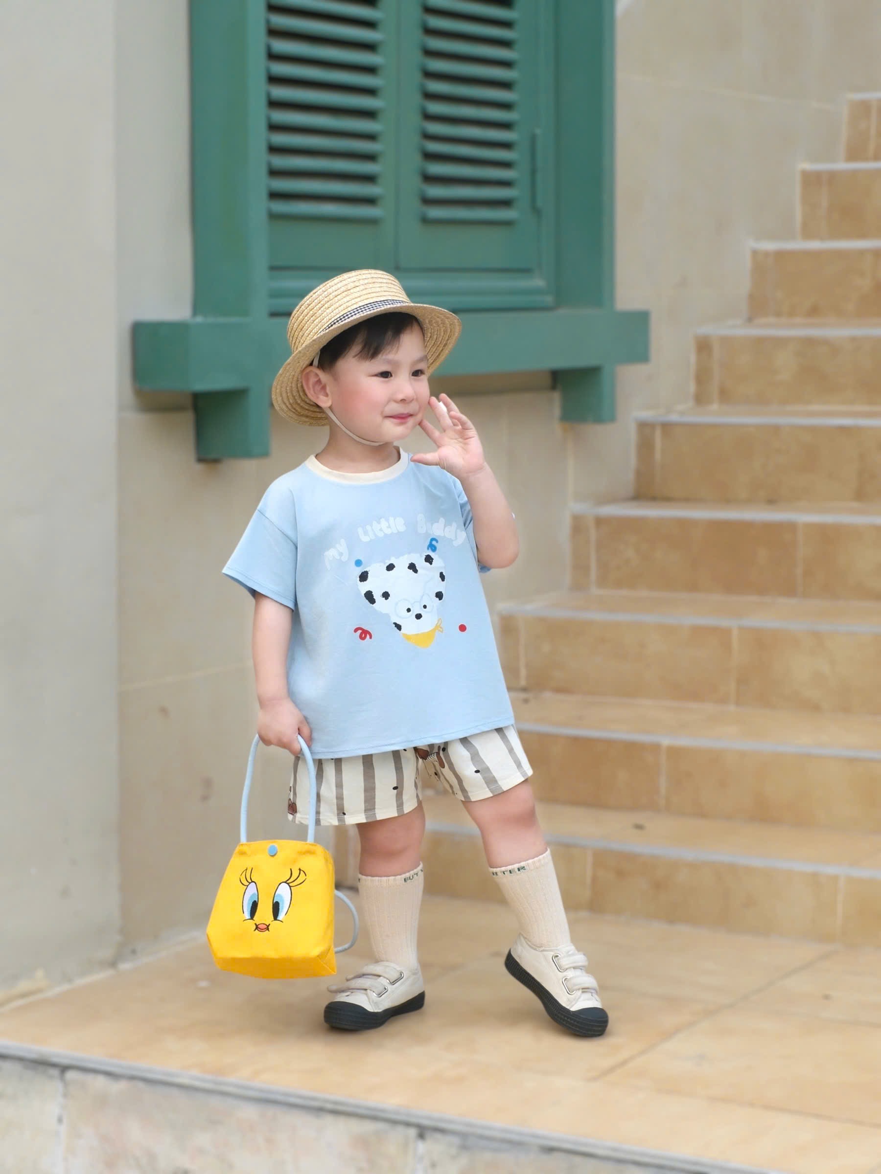 T233 - SET 3 BỘ ĐÙI BÉ TRAI THÚ WILD xanh cốm be