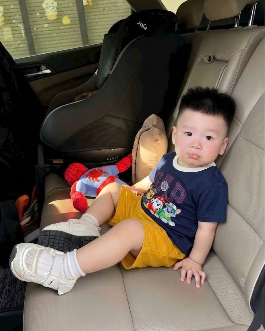 (chờ) T417 - SET 3 BỘ ĐÙI BÉ TRAI PHỐI MÀU VỊT CHÓ KHỦNG LONG