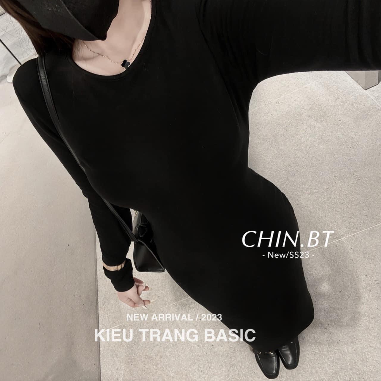 V310 - VÁY BODY DÁNG DÀI ĐEN CỔ TRÒN DÀI TAY THÊU Bad