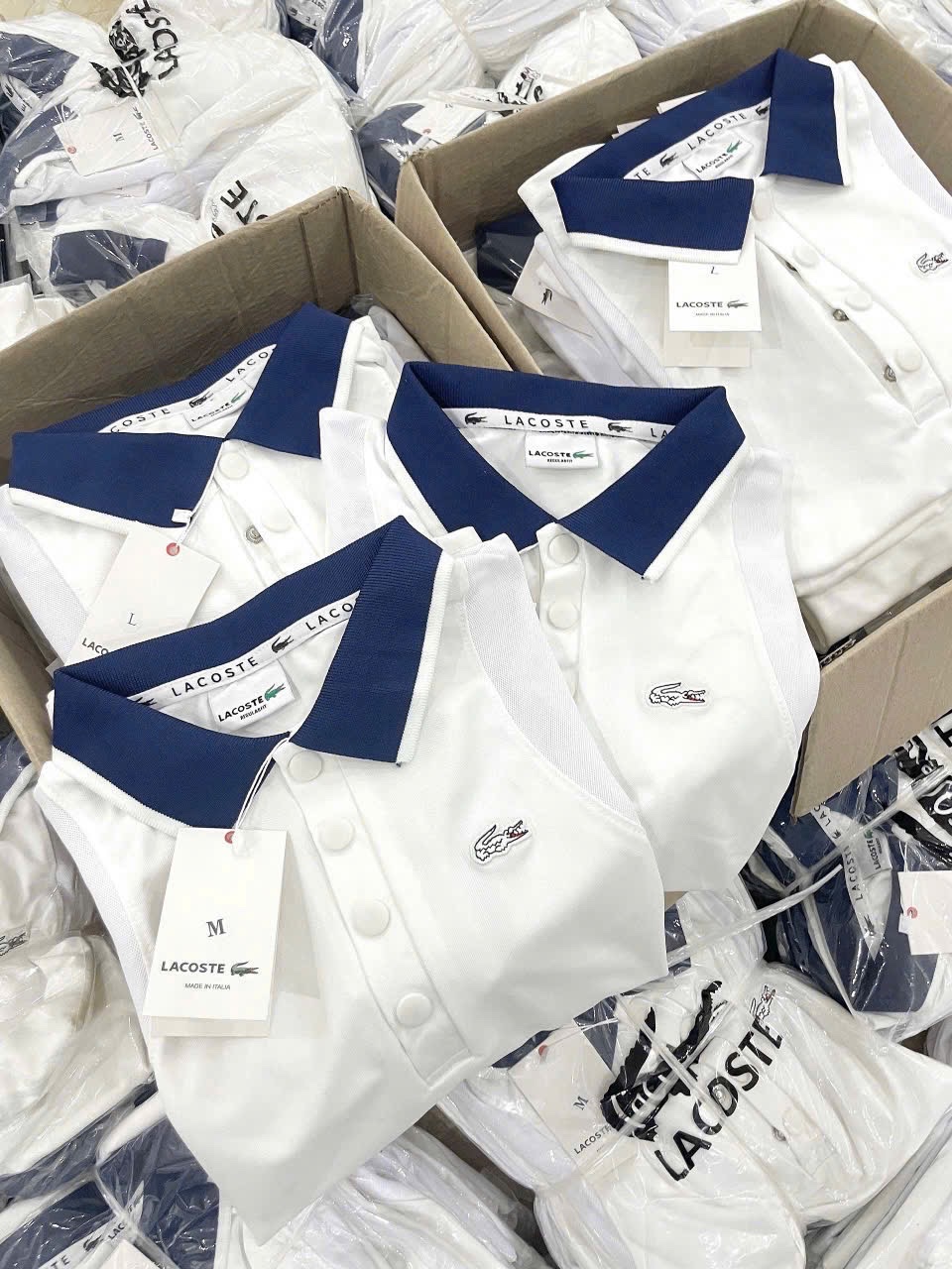 ANU190 - ÁO POLO NỮ TRẮNG CỔ THAN LASCOTE