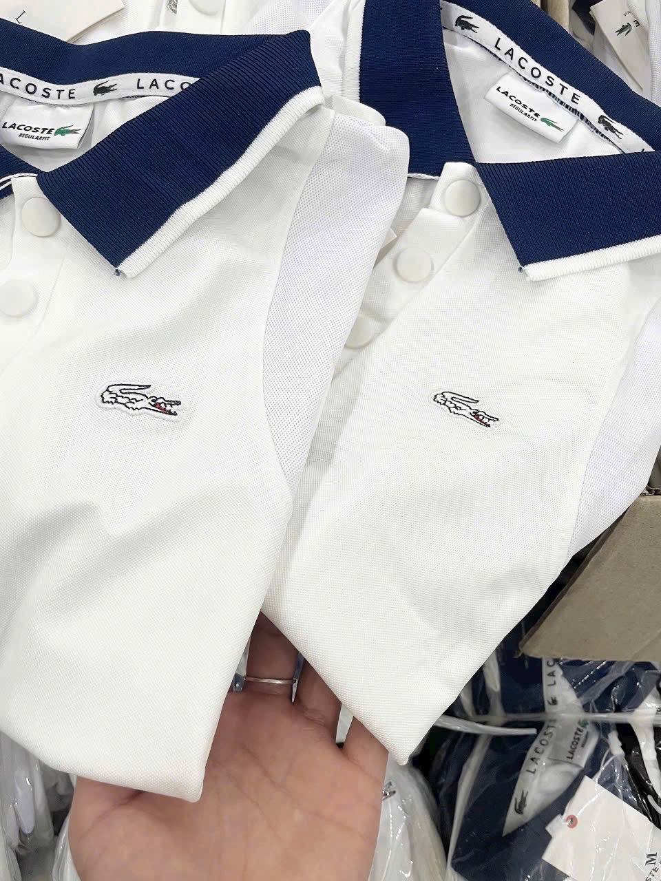 ANU190 - ÁO POLO NỮ TRẮNG CỔ THAN LASCOTE
