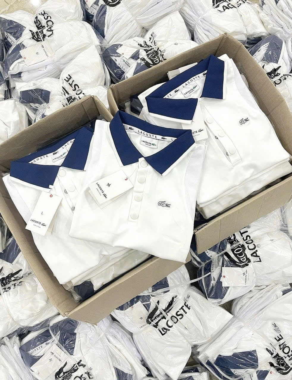 ANU190 - ÁO POLO NỮ TRẮNG CỔ THAN LASCOTE