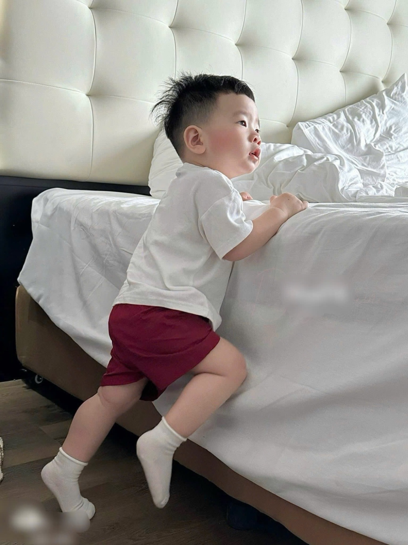 T598 - BỘ ĐÙI BÉ TRAI ÁO TRẮNG KHỦNG LONG HI QUẦN ĐỎ