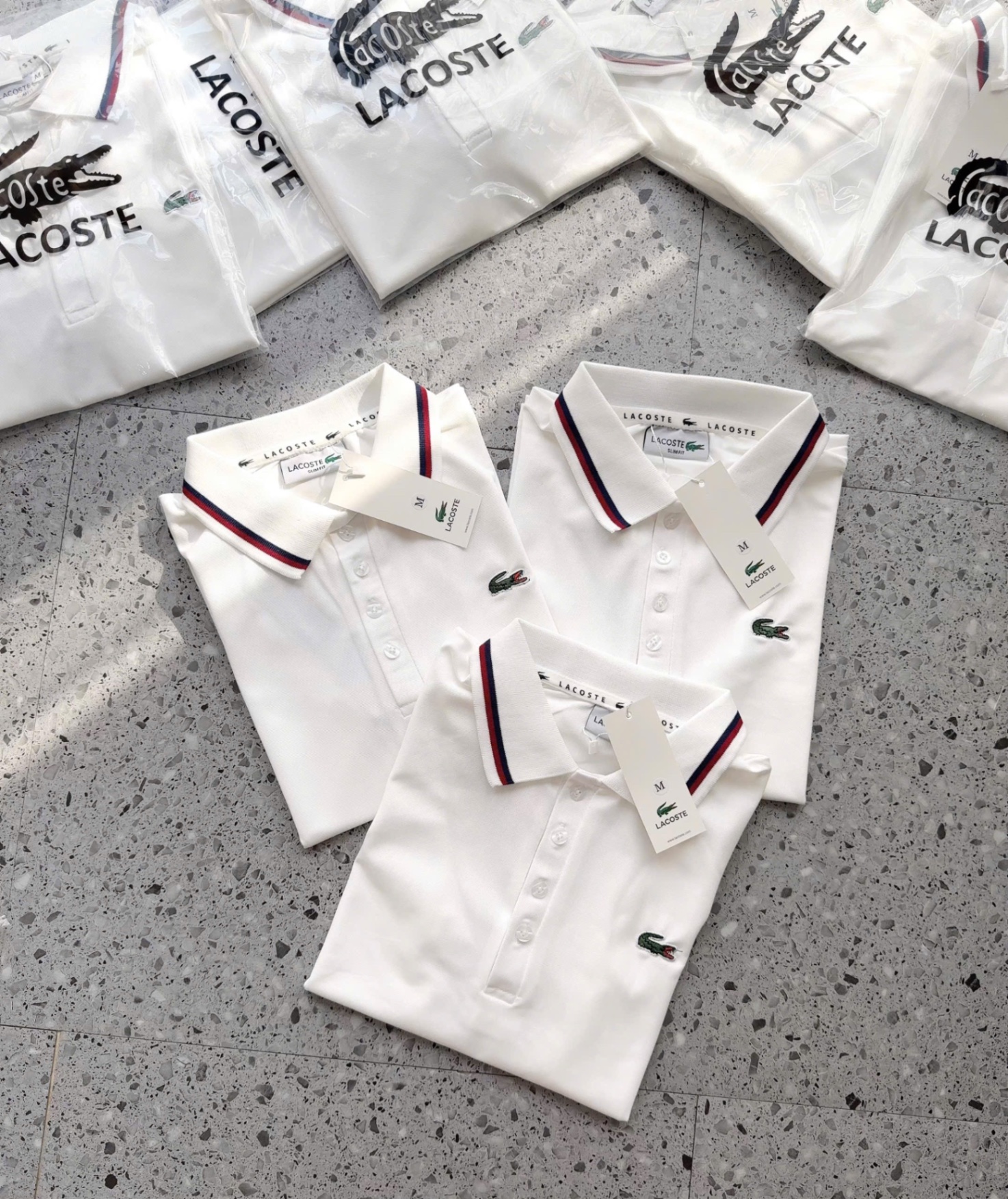 ANU202 - ÁO POLO NỮ TRẮNG LASCOTE CỔ VIỀN ĐEN ĐỎ