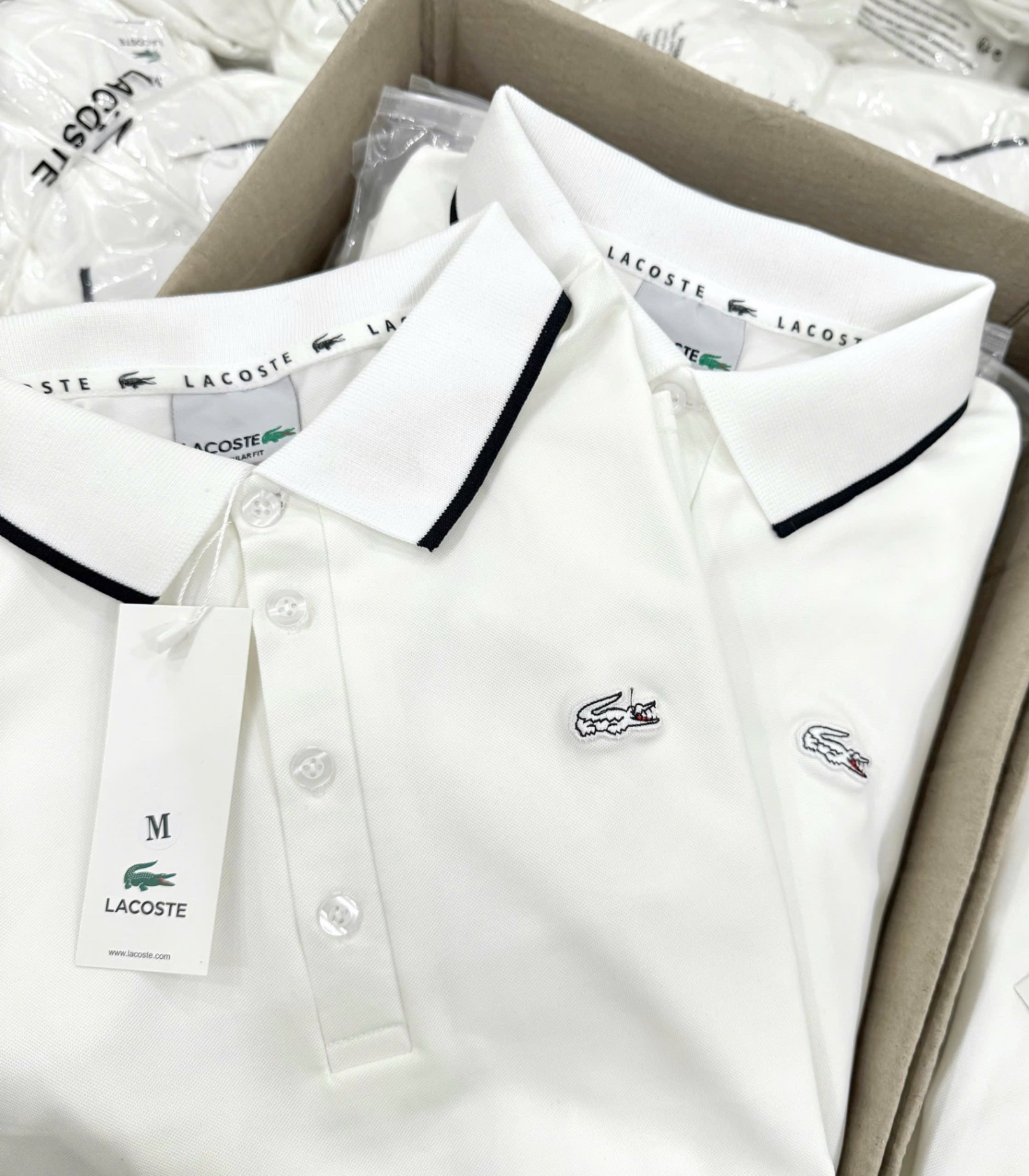 ANU201 - ÁO POLO NỮ TRẮNG LASCOTE CỔ VIỀN ĐEN