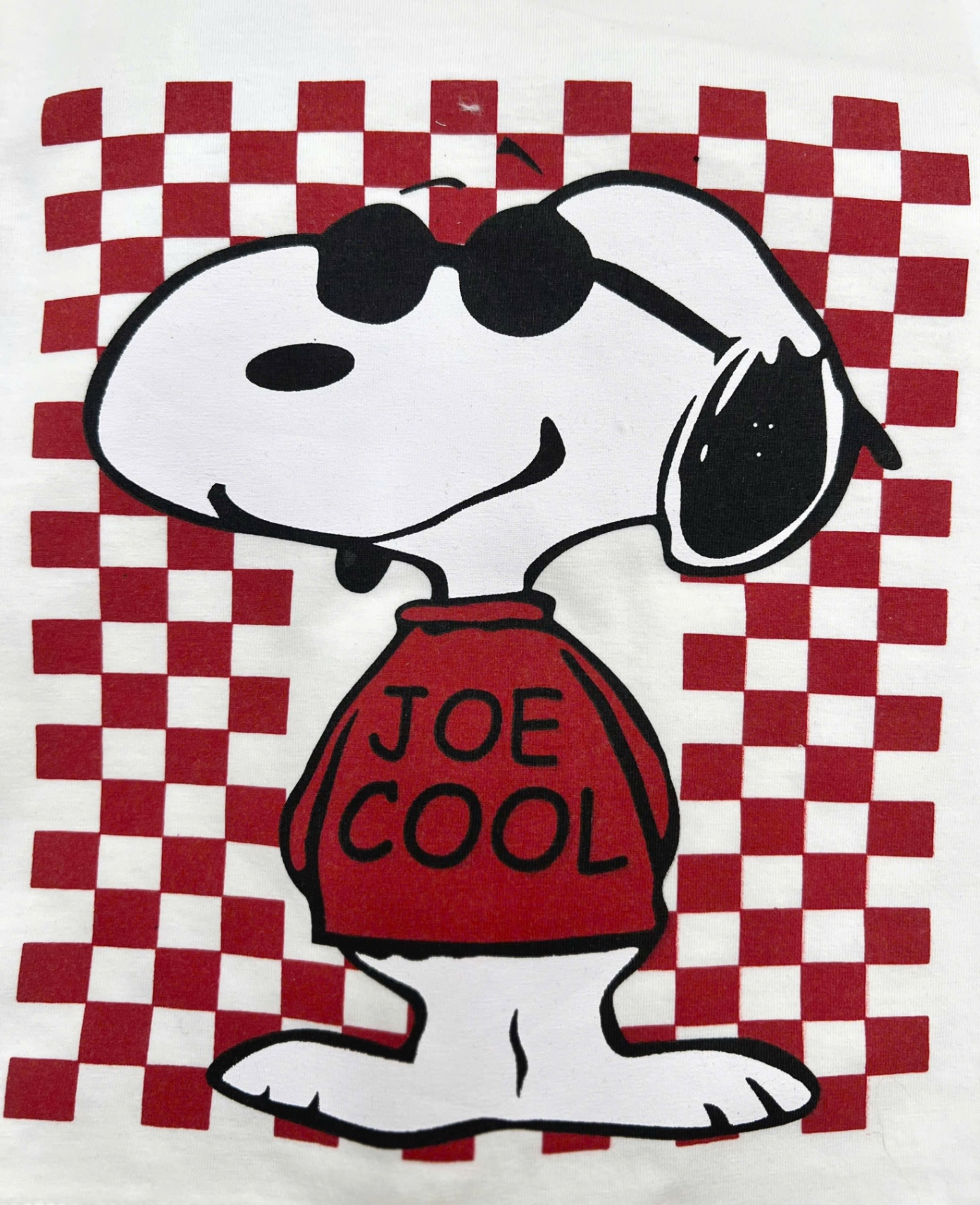 T609 - BỘ ĐÙI BÉ TRAI ÁO TRẮNG CHÓ JOE COOL QUẦN ĐỎ