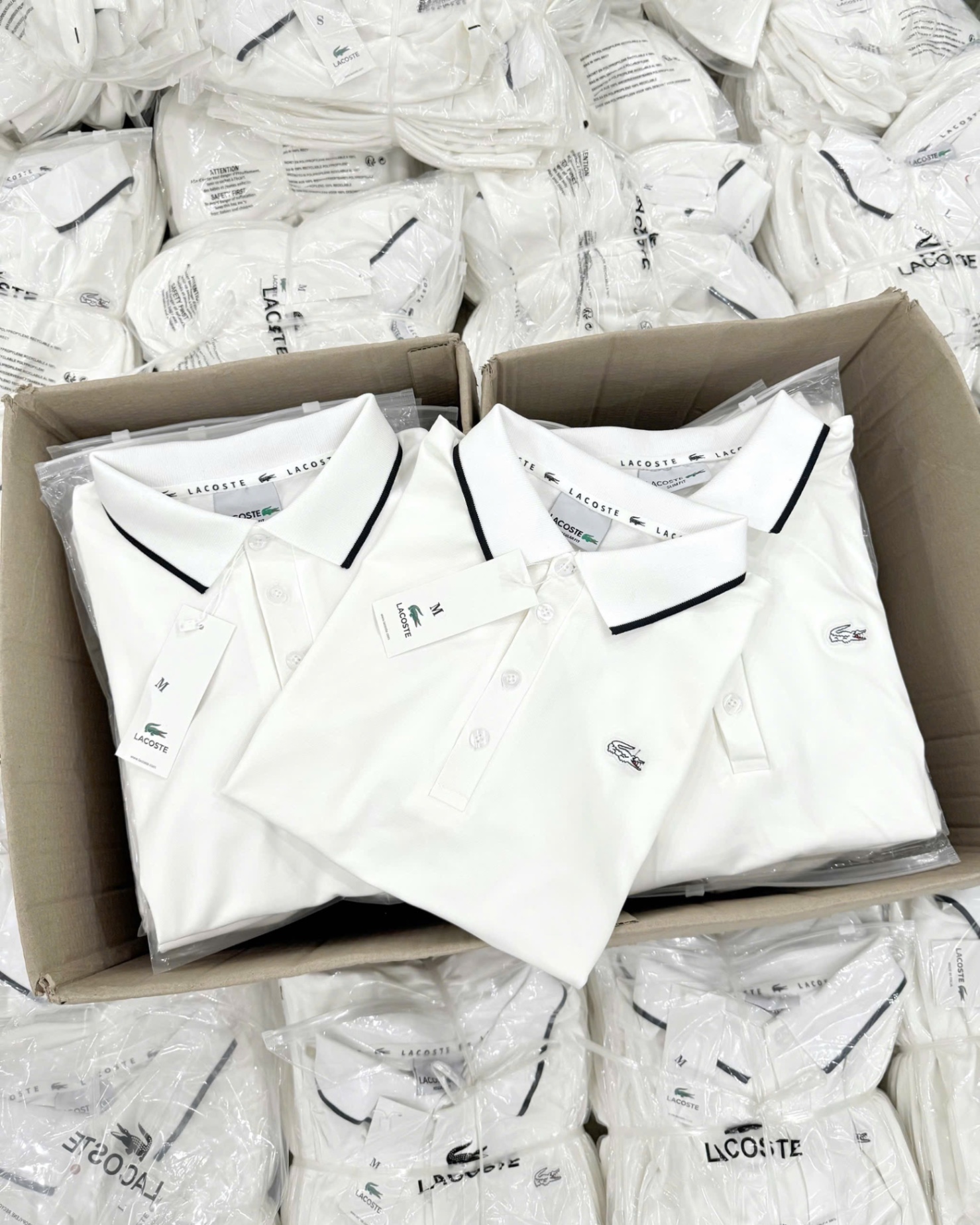 ANU201 - ÁO POLO NỮ TRẮNG LASCOTE CỔ VIỀN ĐEN