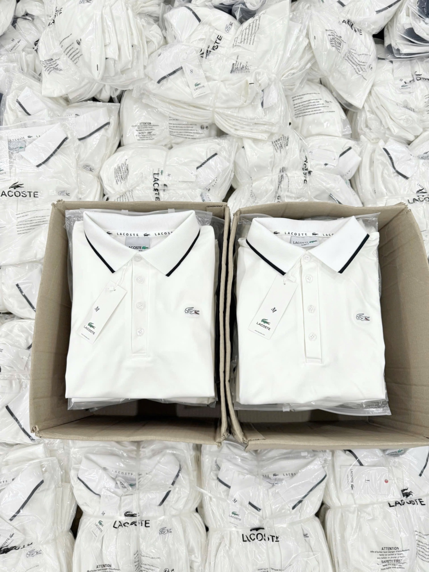 ANU201 - ÁO POLO NỮ TRẮNG LASCOTE CỔ VIỀN ĐEN