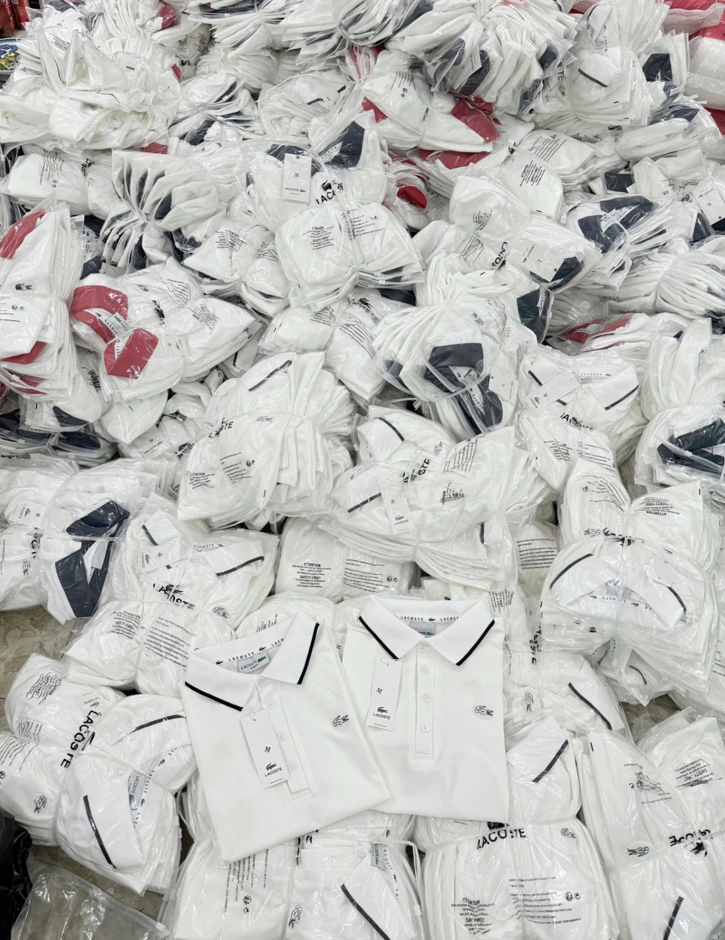 ANU201 - ÁO POLO NỮ TRẮNG LASCOTE CỔ VIỀN ĐEN