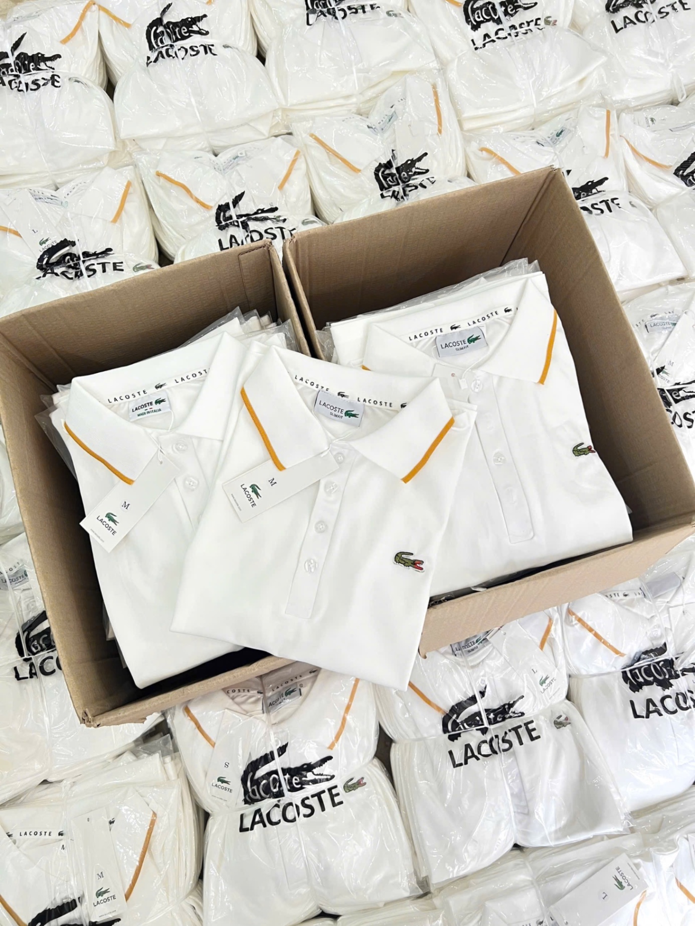 ANU206 - ÁO POLO NỮ LASCOTE TRẮNG CỔ VIỀN VÀNG