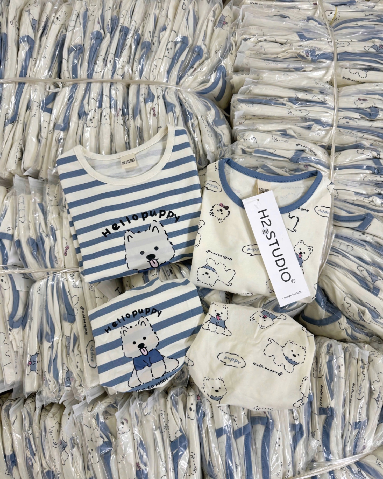 T622 - SET 2 BỘ ĐÙI BÉ TRAI CHÓ PUPPY xanh be