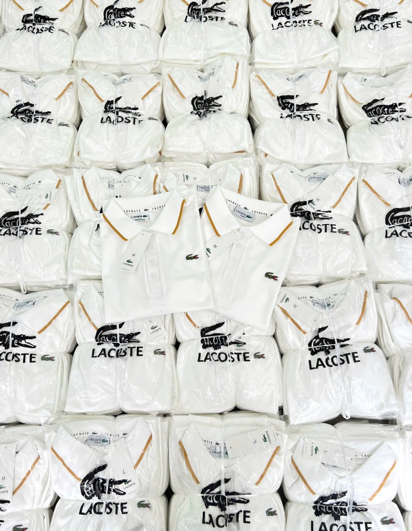 ANU206 - ÁO POLO NỮ LASCOTE TRẮNG CỔ VIỀN VÀNG