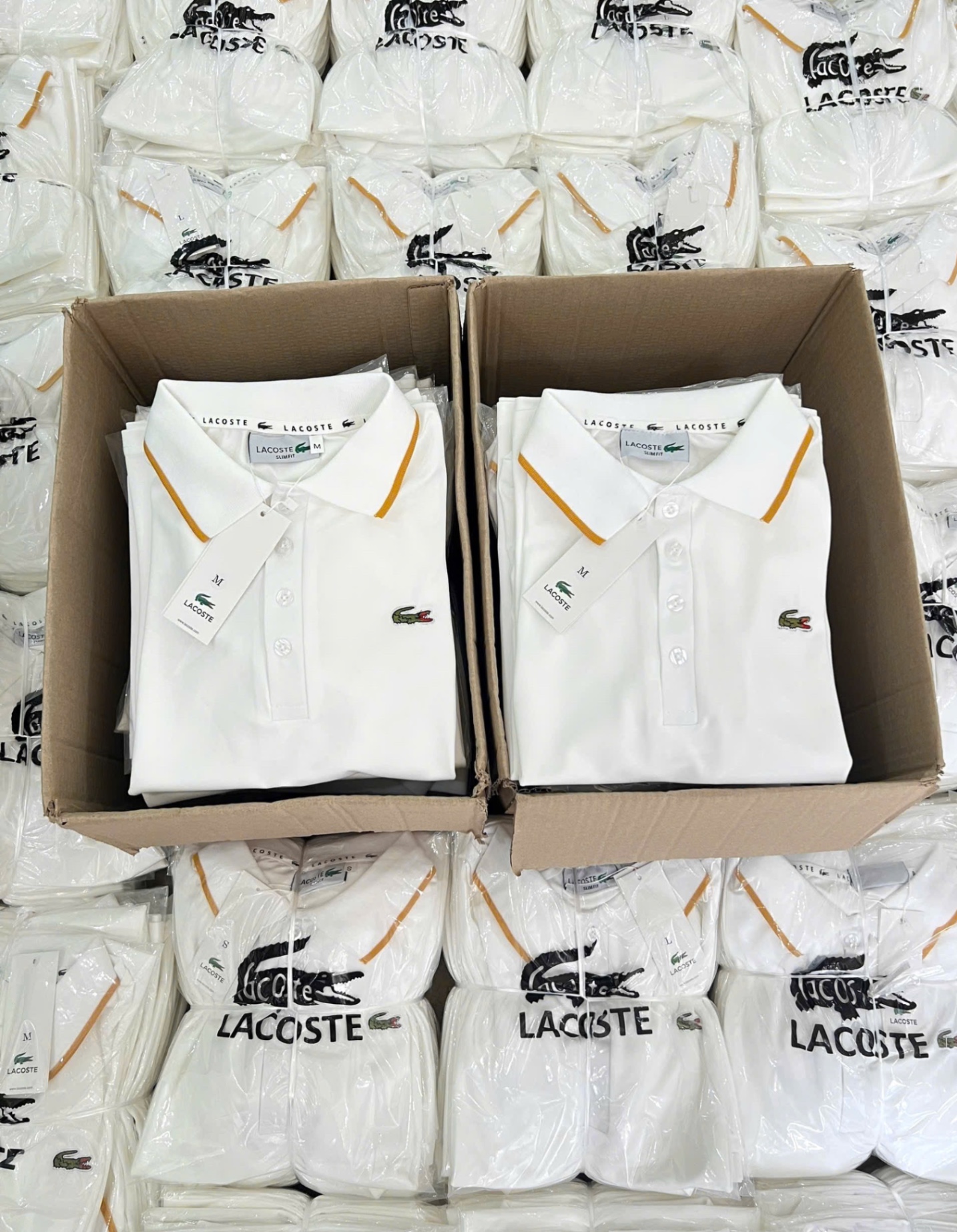 ANU206 - ÁO POLO NỮ LASCOTE TRẮNG CỔ VIỀN VÀNG