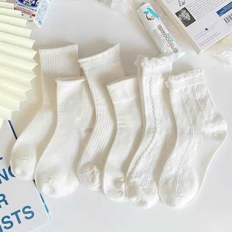 PK241 - SET 10 ĐÔI TẤT NỮ TRẮNG CỔ CAO BÈO